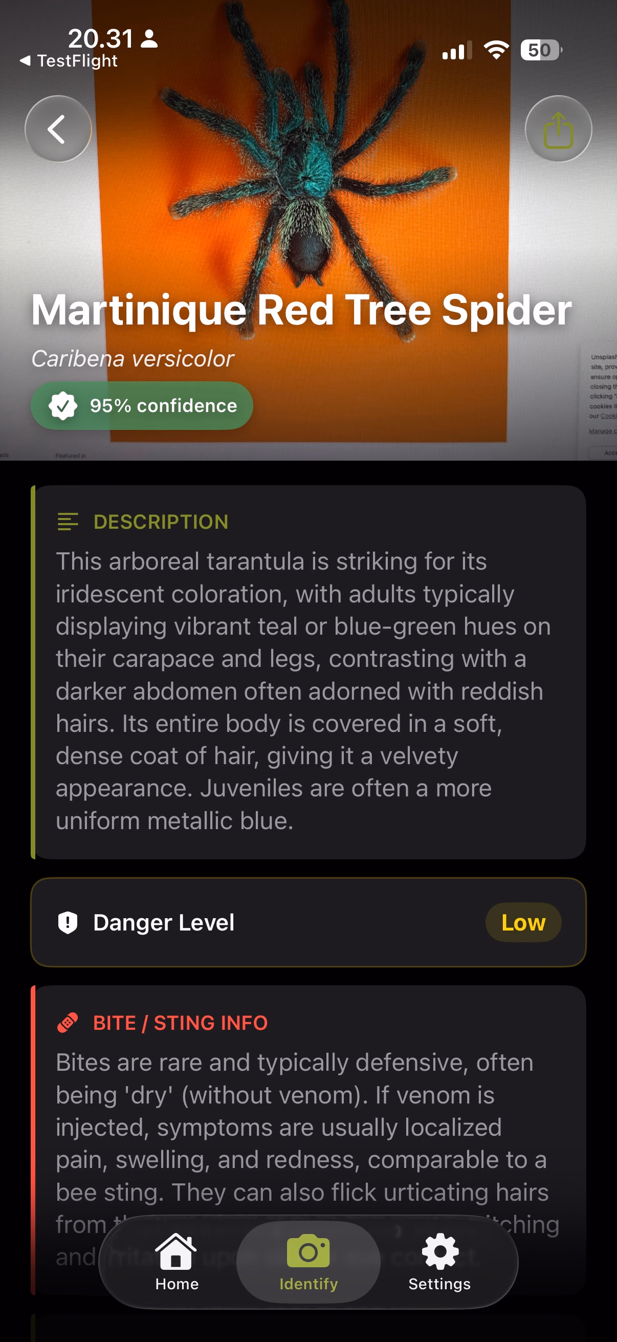 Bug Identifier